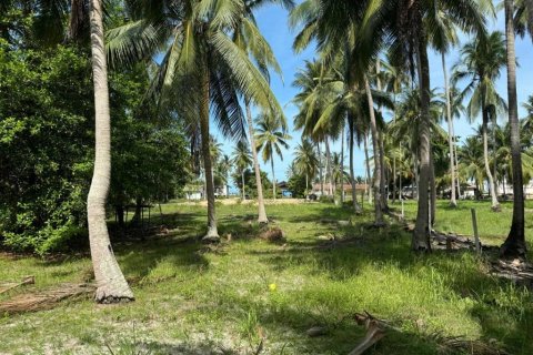 Земельный участок в Сураттхани, Таиланд  № 160164 - фото 3