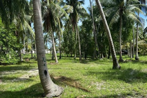 Земельный участок в Сураттхани, Таиланд  № 160164 - фото 6