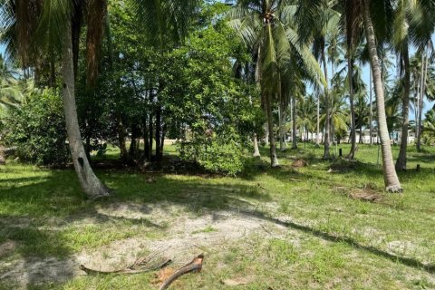 Земельный участок в Сураттхани, Таиланд  № 160164 - фото 5