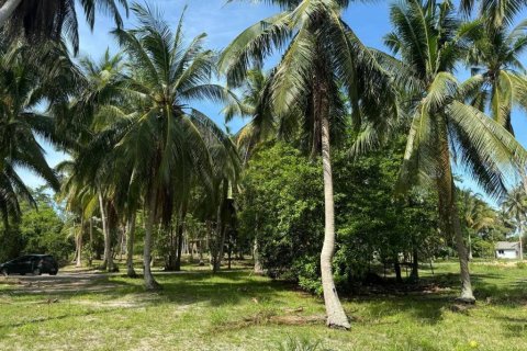 Земельный участок в Сураттхани, Таиланд  № 160164 - фото 10