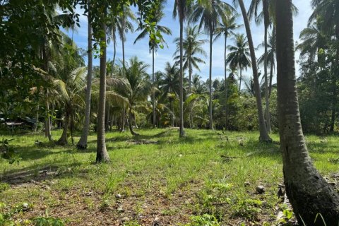 Земельный участок в Сураттхани, Таиланд  № 160164 - фото 8