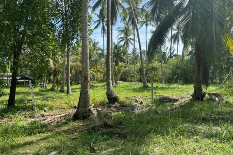 Земельный участок в Сураттхани, Таиланд  № 160164 - фото 7