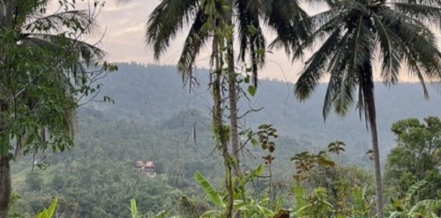 Land in Ko Samui, Thailand 15200 sq.m. № 180177