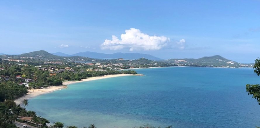 Land on Chaweng Beach, Ko Samui, Thailand № 180175
