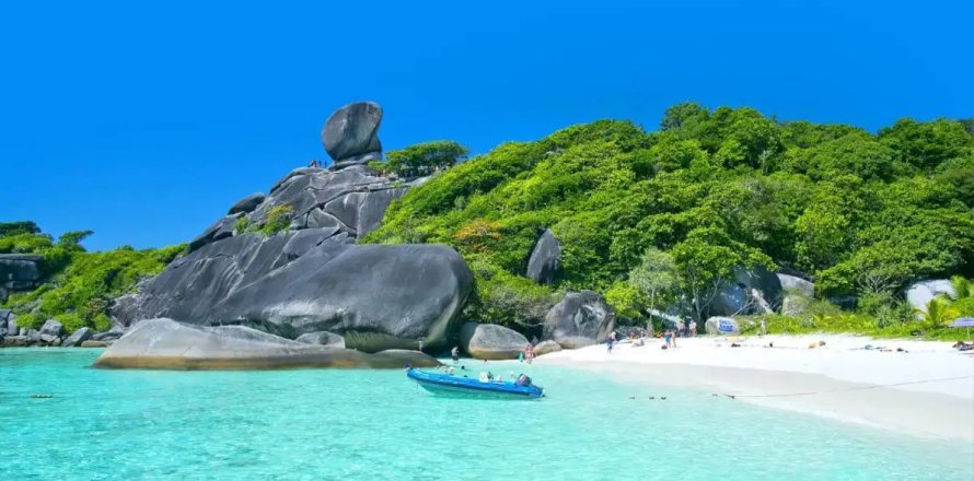 Commercial property in Phuket, Thailand № 181043