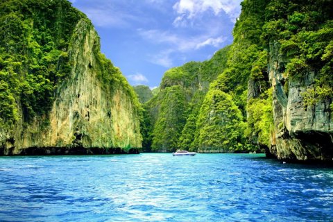 Commercial property in Phuket, Thailand № 181043 - photo 21