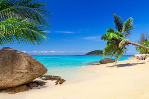 Commercial property in Phuket, Thailand № 181043 - photo 22