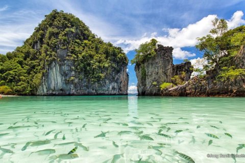 Commercial property in Phuket, Thailand № 181043 - photo 20