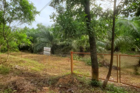 Земельный участок в Пхангнге, Таиланд 22988м2  № 151280 - фото 3