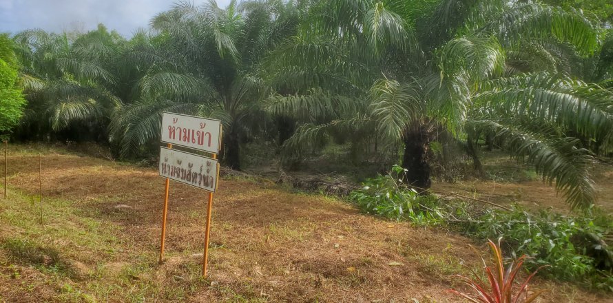 Земельный участок в Пхангнге, Таиланд 22988м2  № 151280