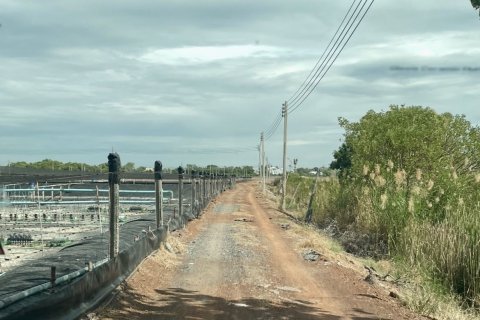 Земельный участок в Банг Нам Приао, Таиланд 81600м2  № 170651 - фото 5