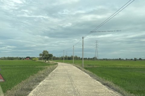 Земельный участок в Банг Нам Приао, Таиланд 81600м2  № 170651 - фото 7