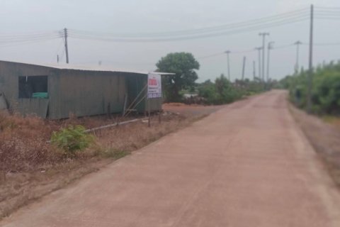 Земельный участок в Банг Нам Приао, Таиланд 81600м2  № 170651 - фото 15