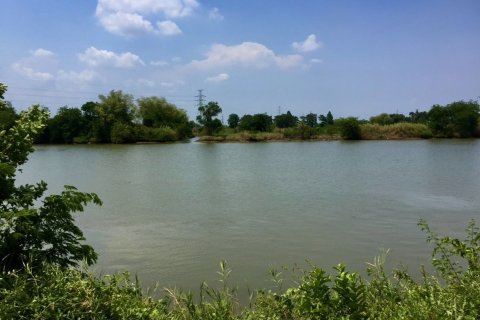 Земельный участок в Банг Нам Приао, Таиланд 81600м2  № 170651 - фото 11