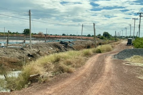 Земельный участок в Банг Нам Приао, Таиланд 81600м2  № 170651 - фото 4