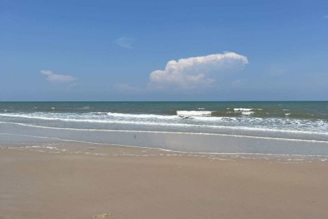 Terrain à Tha Yang, Thaïlande 67200 m2 № 156611 - photo 2