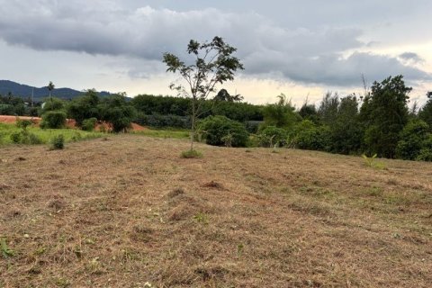 Земельный участок в Пхангнге, Таиланд 4452м2  № 156613 - фото 3