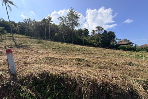 Terrain à Ko Samui, Thaïlande 1022 m2 № 167658 - photo 12