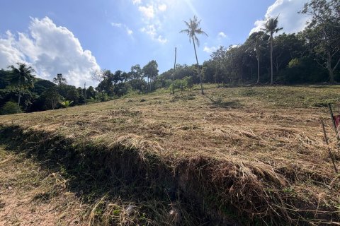 Terrain à Ko Samui, Thaïlande 1022 m2 № 167658 - photo 13
