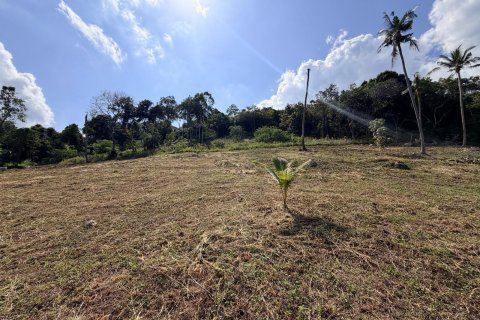 Terrain à Ko Samui, Thaïlande 1022 m2 № 167658 - photo 9