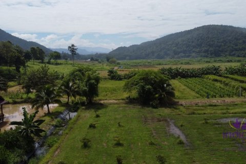 Дом в Чиангмае, Таиланд с 4 спальнями  № 162600 - фото 22