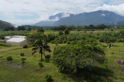 Дом в Чиангмае, Таиланд с 4 спальнями  № 162600 - фото 21