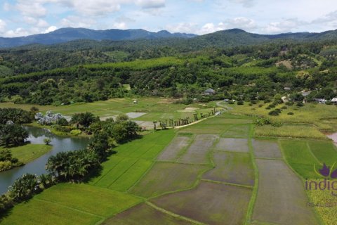Земельный участок в Чиангмае, Таиланд № 162531 - фото 5