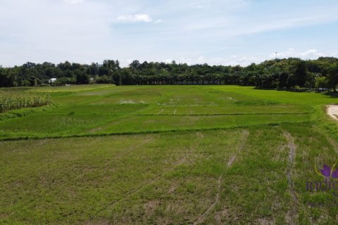 Земельный участок в Чиангмае, Таиланд № 162531 - фото 4