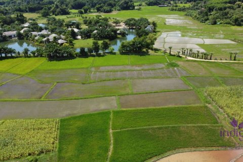 Земельный участок в Чиангмае, Таиланд № 162531 - фото 2