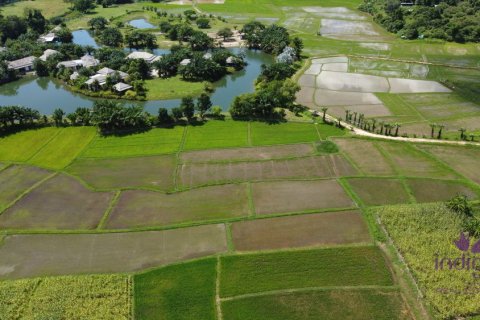 Земельный участок в Чиангмае, Таиланд  № 162531