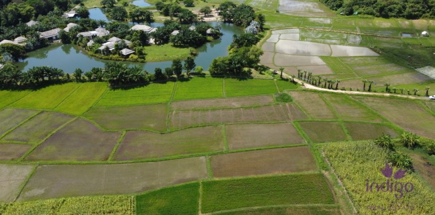 Земельный участок в Чиангмае, Таиланд № 162531