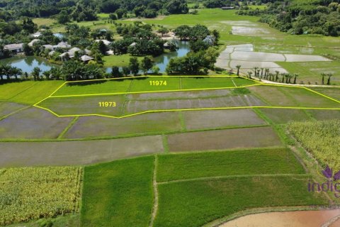 Земельный участок в Чиангмае, Таиланд № 162531 - фото 8