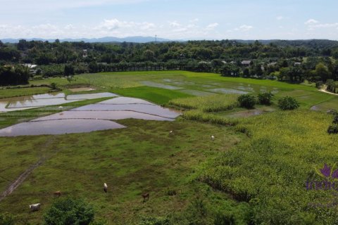 Земельный участок в Чиангмае, Таиланд № 162531 - фото 6