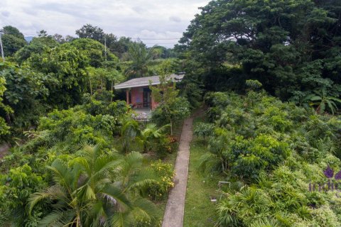 Дом в Чиангмае, Таиланд с 5 спальнями  № 162537 - фото 25