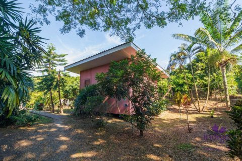 Дом в Чиангмае, Таиланд с 5 спальнями  № 162537 - фото 16