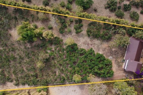 Земельный участок в Чиангмае, Таиланд  № 162536 - фото 3