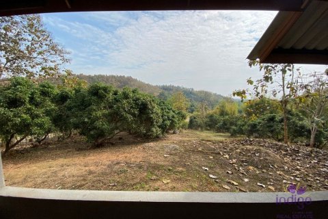 Земельный участок в Чиангмае, Таиланд  № 162536 - фото 20