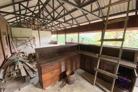 Земельный участок в Чиангмае, Таиланд  № 162536 - фото 8