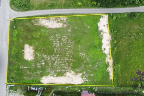 Земельный участок в Сан Па Тонге, Таиланд № 55374 - фото 6