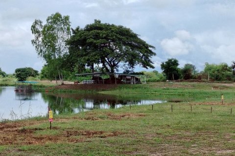 Земельный участок в Чиангмае, Таиланд 243200м2  № 155961 - фото 17