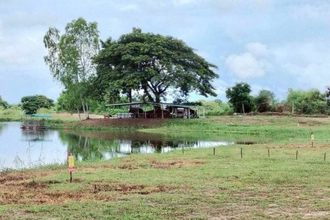 Земельный участок в Чиангмае, Таиланд 243200м2  № 155961 - фото 10