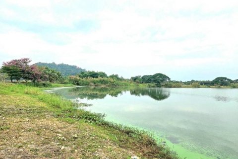 Земельный участок в Чиангмае, Таиланд 243200м2  № 155961 - фото 9