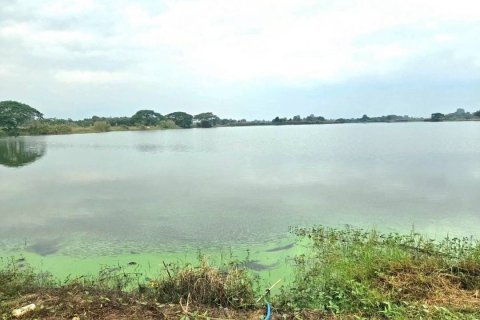 Земельный участок в Чиангмае, Таиланд 243200м2  № 155961 - фото 6