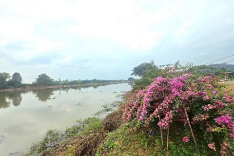 Земельный участок в Чиангмае, Таиланд 243200м2  № 155961 - фото 8