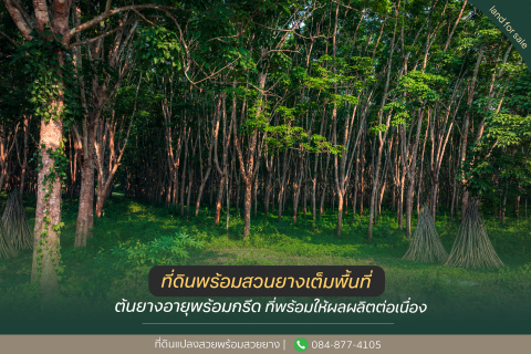 Земельный участок в Канчанабури, Таиланд 33600м2  № 155964 - фото 4