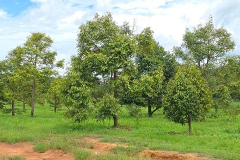 Земельный участок в Пхитсанулоке, Таиланд 1462400м2  № 155965 - фото 3