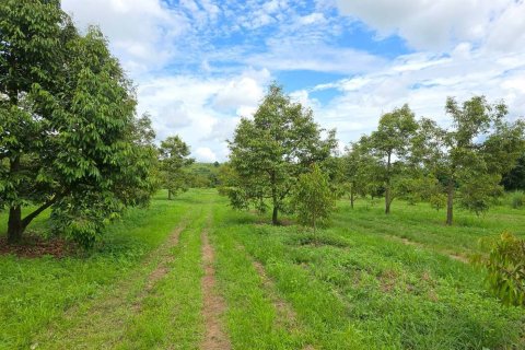 Земельный участок в Пхитсанулоке, Таиланд 1462400м2  № 155965 - фото 13