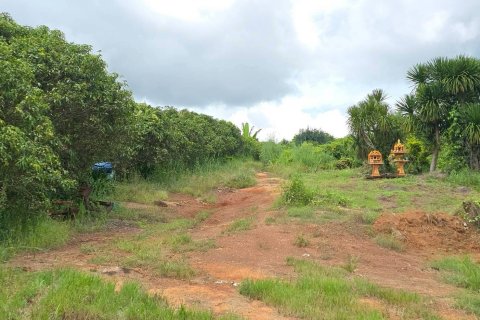 Земельный участок в Пхитсанулоке, Таиланд 1462400м2  № 155965 - фото 17