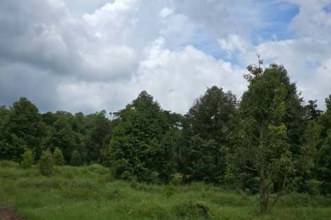 Земельный участок в Пхитсанулоке, Таиланд 1462400м2  № 155965 - фото 16