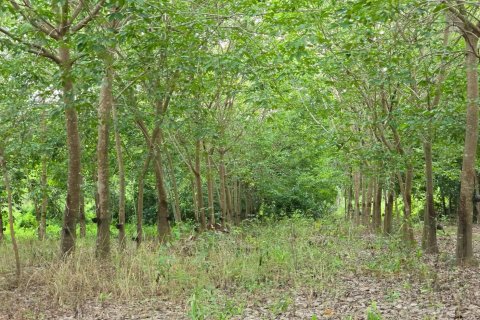 Земельный участок в Пхитсанулоке, Таиланд 1462400м2  № 155965 - фото 11